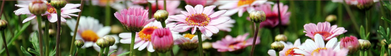 Karpinsky Pflege Logo